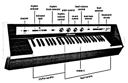 M300diagEp.jpg